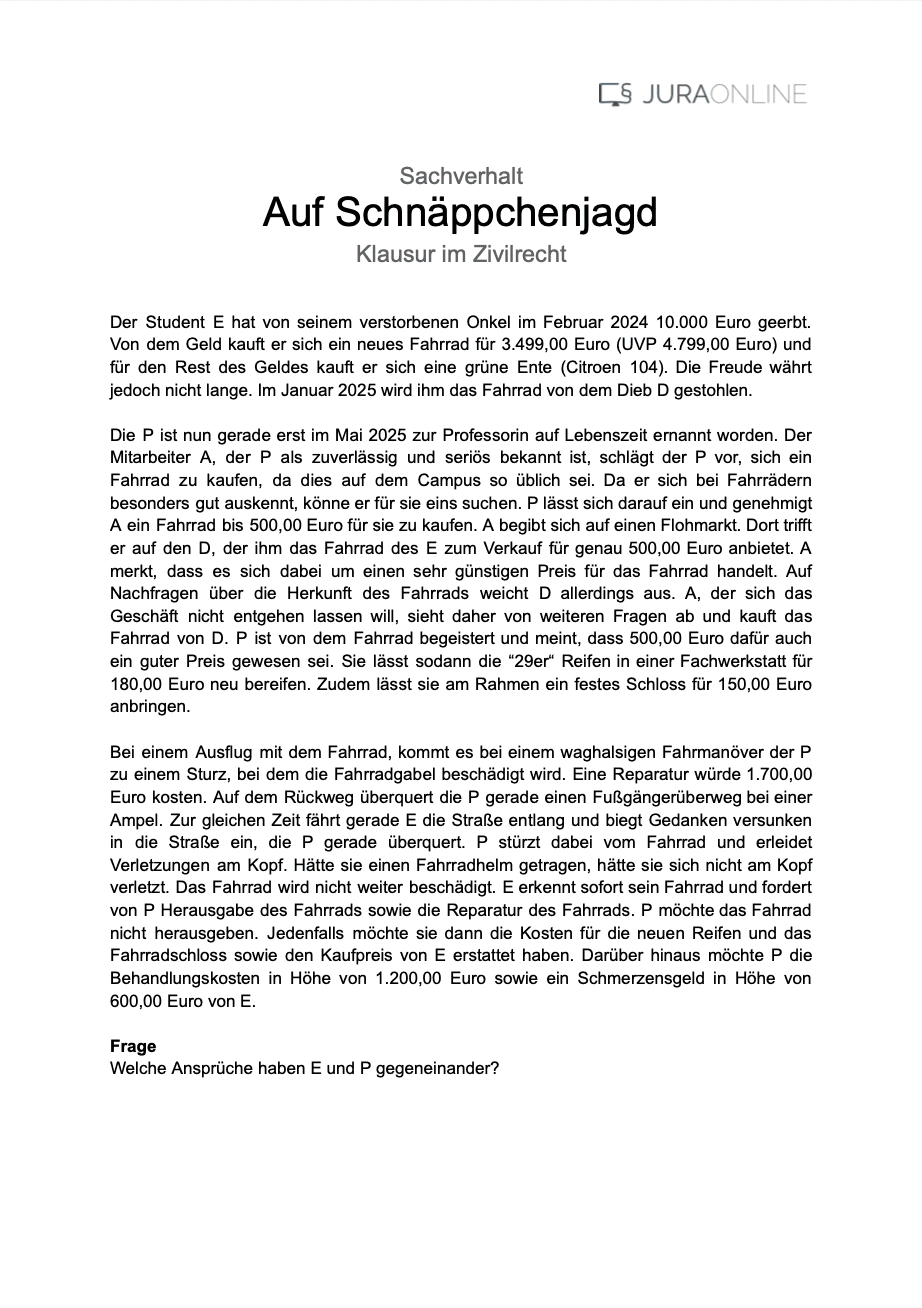 PDF Miniatur für Sachverhalt